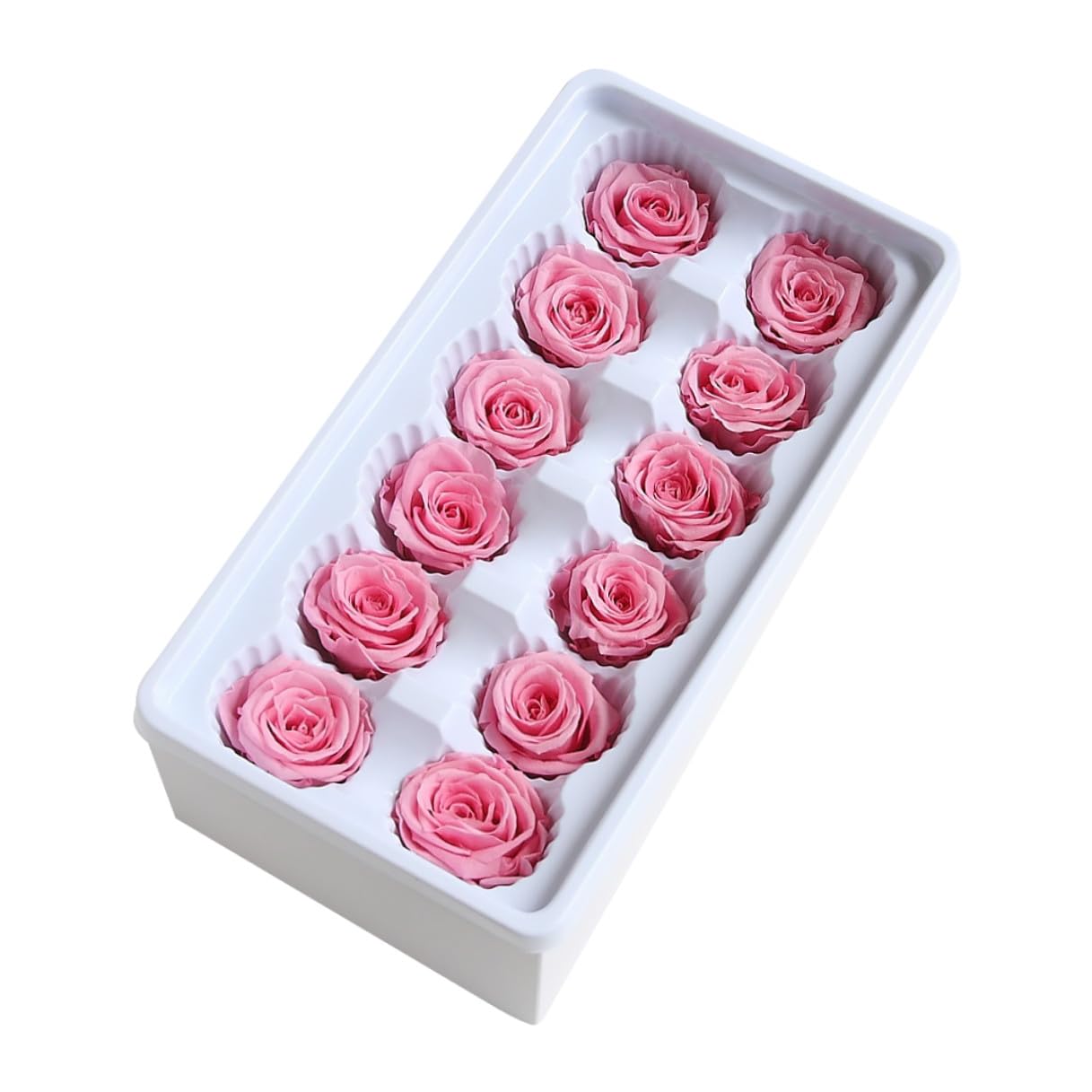 Décoration Romantique Rose Éternelle Contre les Fleurs Fanées Mariage