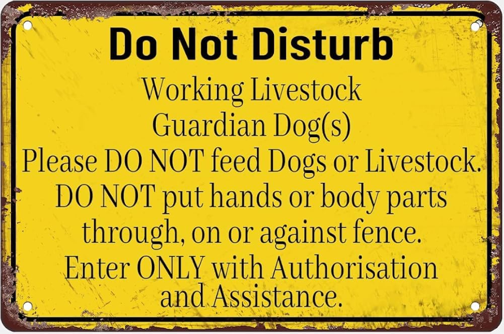 Do Not Disturb Working Livestock Guardian Dog Sign Metal Tin Sign Caution Danger Safety Security Warning Notice Signs Gift For Women Men 8x12 Inch Plaque Tin Sign