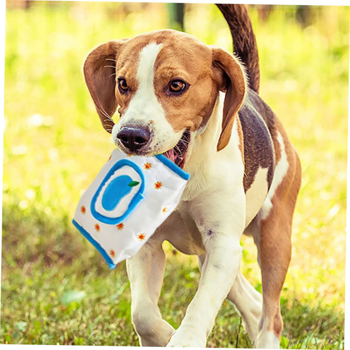 SUPVOX 8pièces Jouets De Reniflement Cartoon pour Chiens Et Chiots Jouets Lents pour Alimentation Intérieure Amusants Et Interactifs
