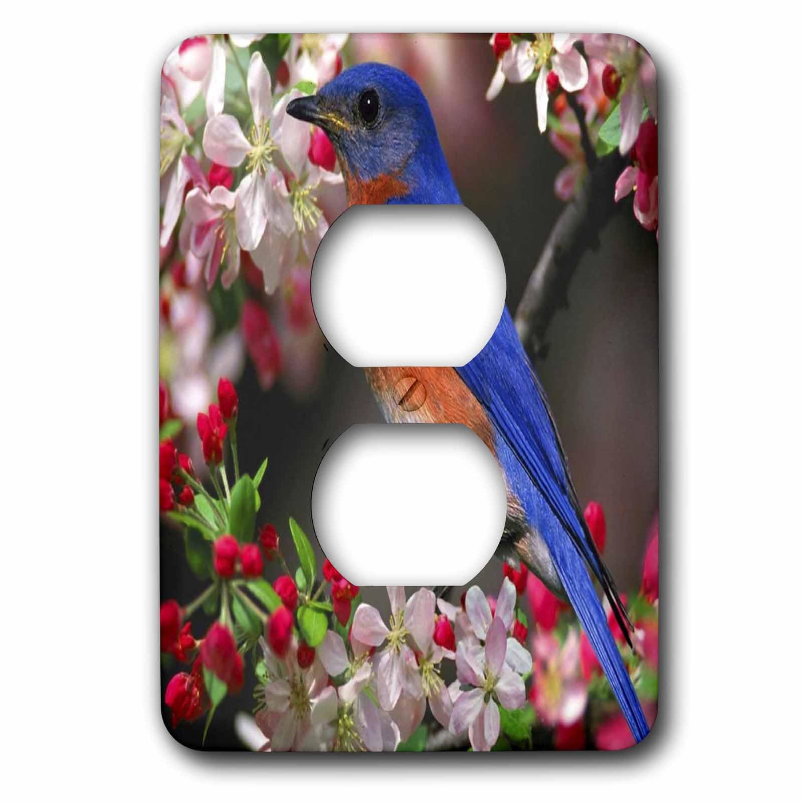 Magnifique Bluebird N Cherry Blossoms apporte la poésie de la nature chez vous