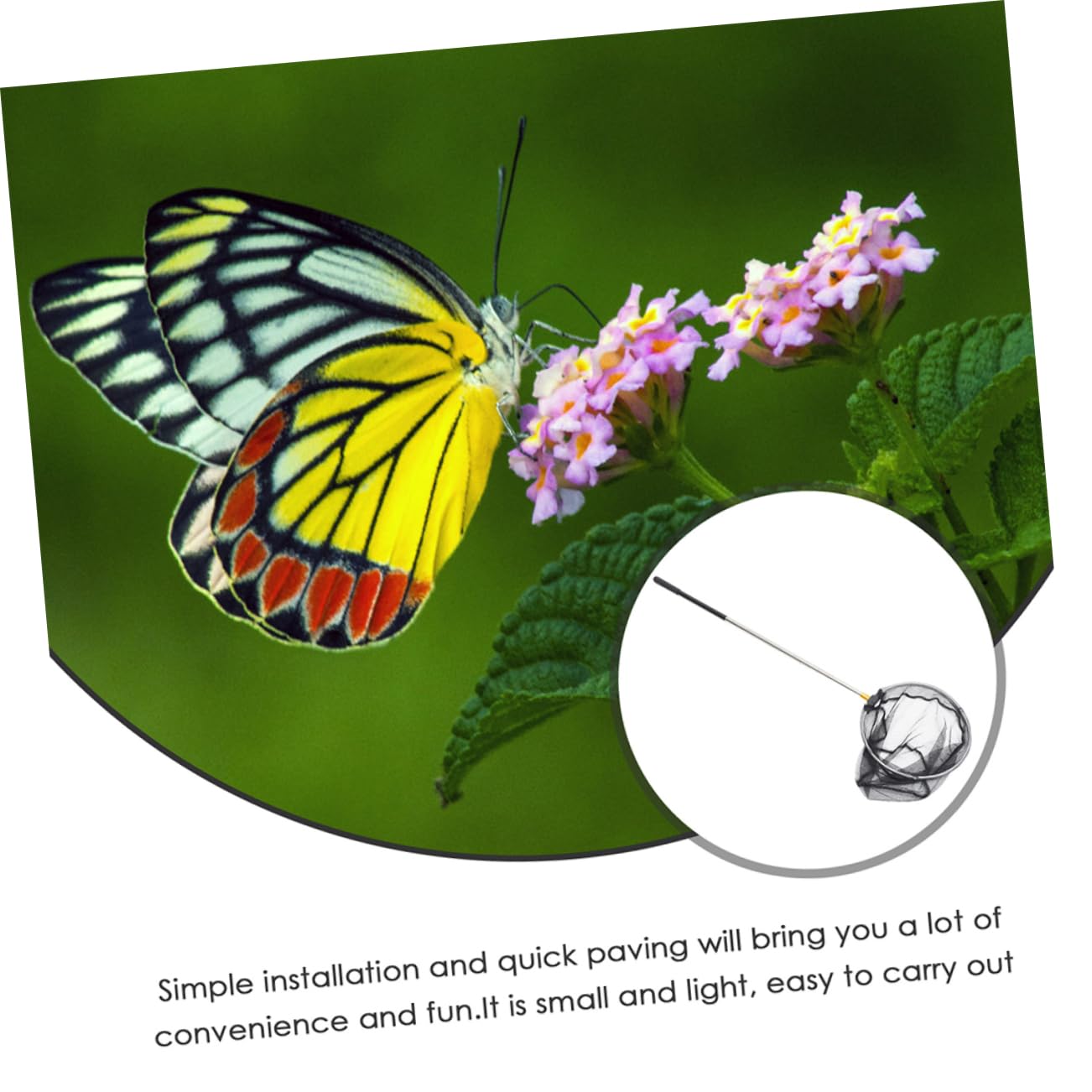 Toddmomy 6pièces Épuisette De Rétractable avec Filet Remplaçable pour Capturer Poissons Et Insectes Accessoire pour Activités Extérieures