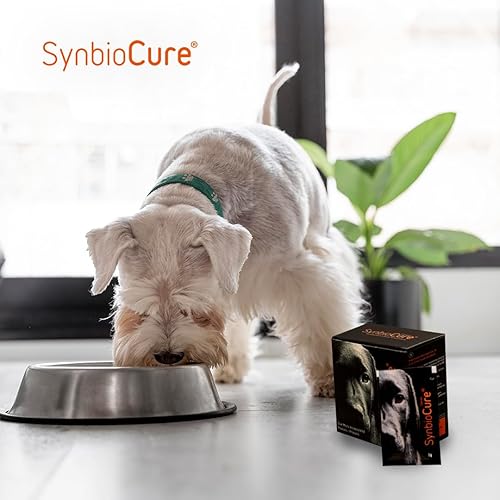 Miniatura 4 de I Probióticos y prebióticos para perros I Suplemento para perros en polvo I Apoyo para la salud digestiva I 200 mil millones de bacterias por