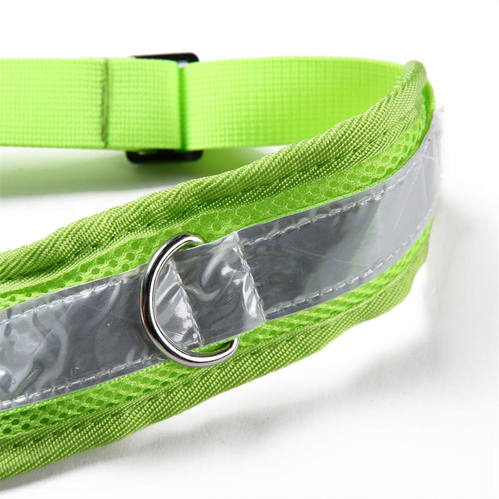 Guinzaglio da corsa per cani a mani libere Guinzaglio lungo per cani Guinzaglio da corsa per cani Guinzaglio lungo da addestramento per cani Guinzaglio lungo per cani da corsa Guinzaglio da corsa per