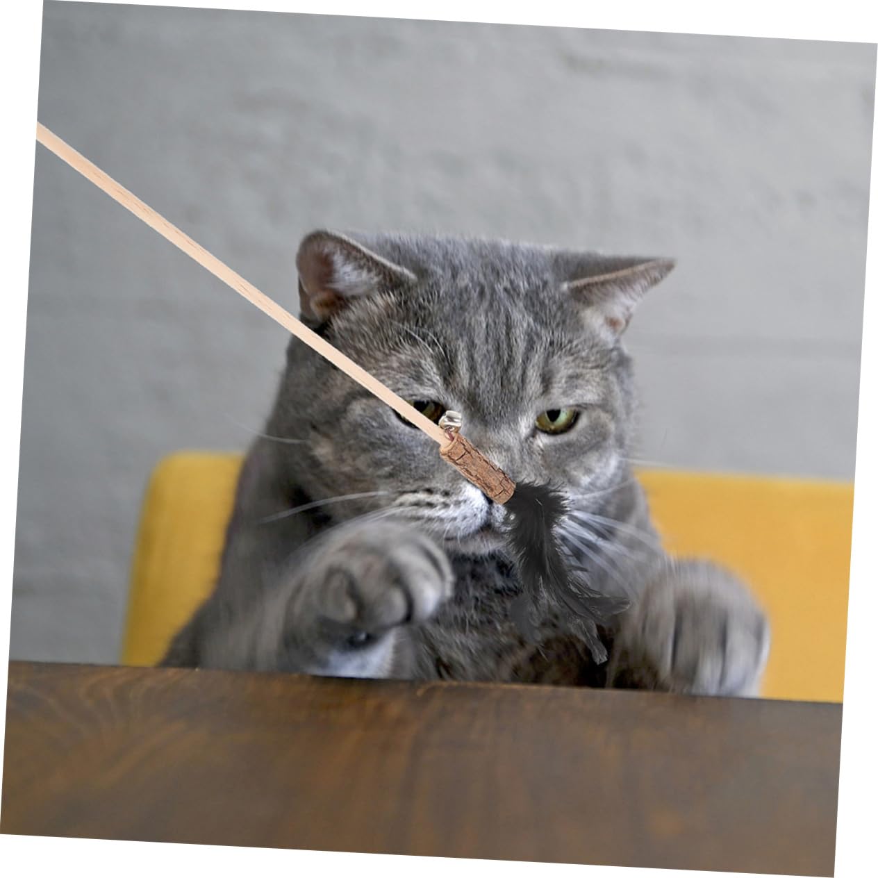 Toddmomy 15pièces Canne à Interactive pour Chats avec Plumes Jouet Amusant pour Chatons Et Chats Intérieur