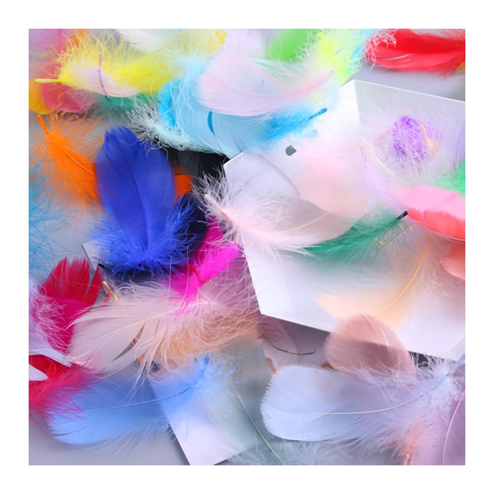 Sturiz 400 Bunte Bastelfedern Naturfedern 5-12cm Für DIY Deko