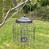 Selections Deluxe Heavy Duty Squirrel Proof Hanging Bird Nut & Fatball Feeder Cage (Pack of 2) - Image 7