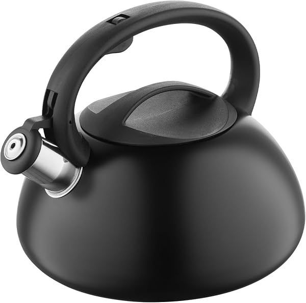 FLORINA Hervidor de Agua (2,5 l) I Tetera de Acero Inoxidable LUKE I Silbato con Mango de Bakelita I Silbido Automático I Tetera para Té y Café I Apta para Todo Tipo de Cocinas I Color: Negro - 1