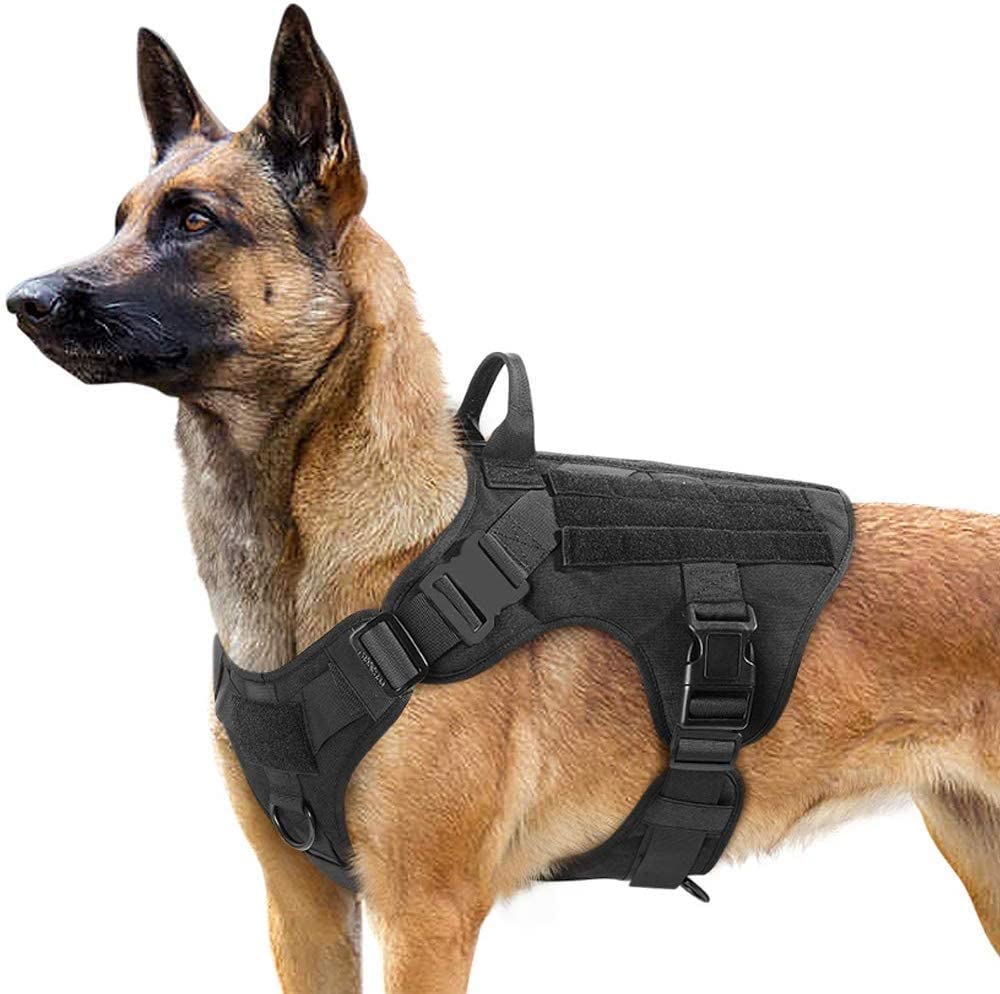working dog harness