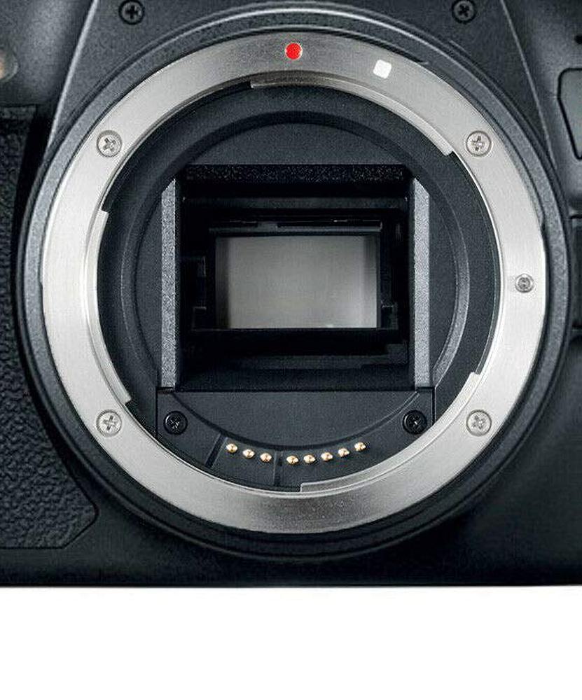 Amazon.com : Canon EOS Rebel T7 Digital SLR Camera Body Only (Kit