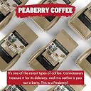 Toffee Coffee Roasters | Peaberry Single Origin Arabica Medium Roast | Sweet with Delicious Aftertaste | Turkish Grind | Freshly Roasted | 1000g gallery image