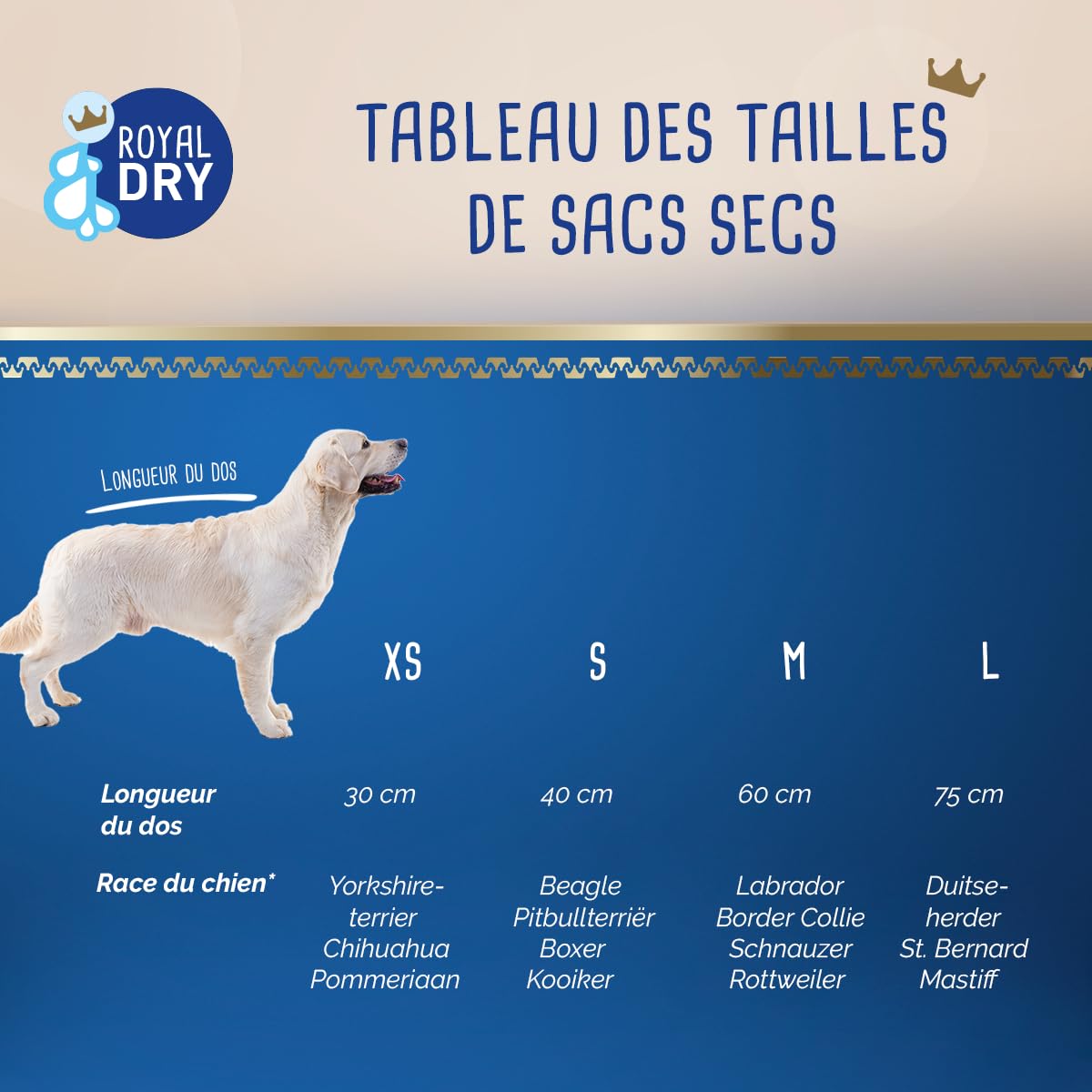 Doggybag – Sac de séchage pour Chien en Microfibre – Taille XS – Longueur de Dos 30 cm – Serviette pour Chien – Ultra Absorbant et à séchage Rapide avec Fermeture Velcro – Gris