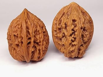 极品大沽石 核桃 文玩クルミ 极品大沽石 核桃 文玩クルミ