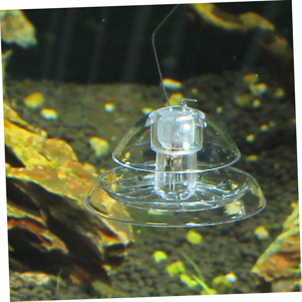 YARNOW 16 Pièces Piège À Escargots Outil De Capture D'Escargots Pratique Attrape-Escargots Outil De Retrait D'Escargots Piège À Escargots Clair Attrape-Escargots Fourniture D'Aquarium
