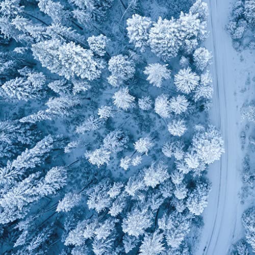 Sleep Zone Cosy Sound for Babies Sleep Zone Cosy Sound for Babies