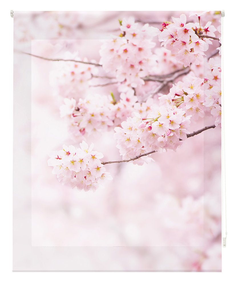 Happystor HSP93006 Estor Enrollable Estampado Digital Paisajes 175x180