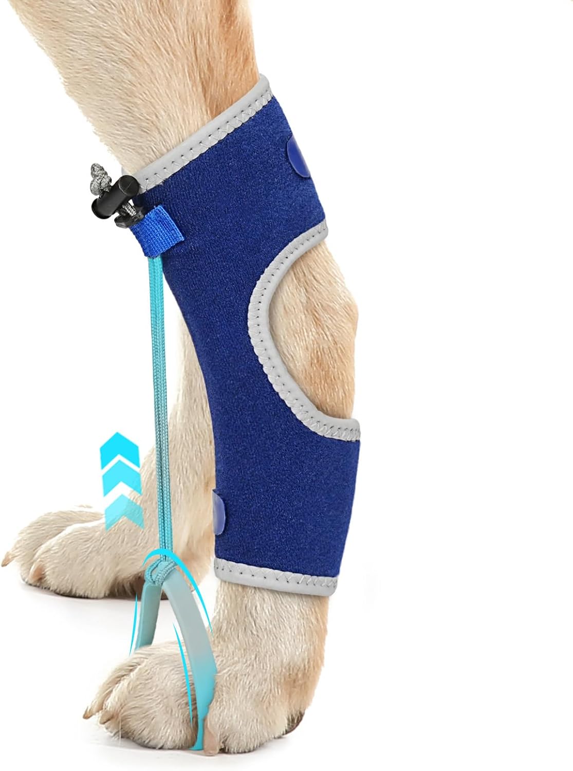 Dog Knuckling Braces Wrap for Hyperflexion of Phalanges Cause by Sciatic Nerve Damage & Carpal Flexural Deformity - Dual Locking Straps for Safe Adjustable Toe Lift Support (Blue, Middle)