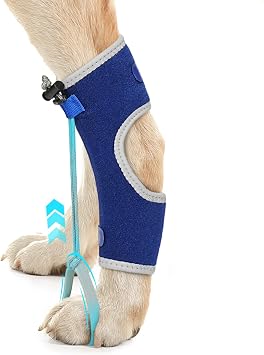 Dog Knuckling Braces Wrap for Hyperflexion of Phalanges Cause by Sciatic Nerve Damage & Carpal Flexural Deformity - Dual Locking Straps for Safe Adjustable Toe Lift Support Blue, Large