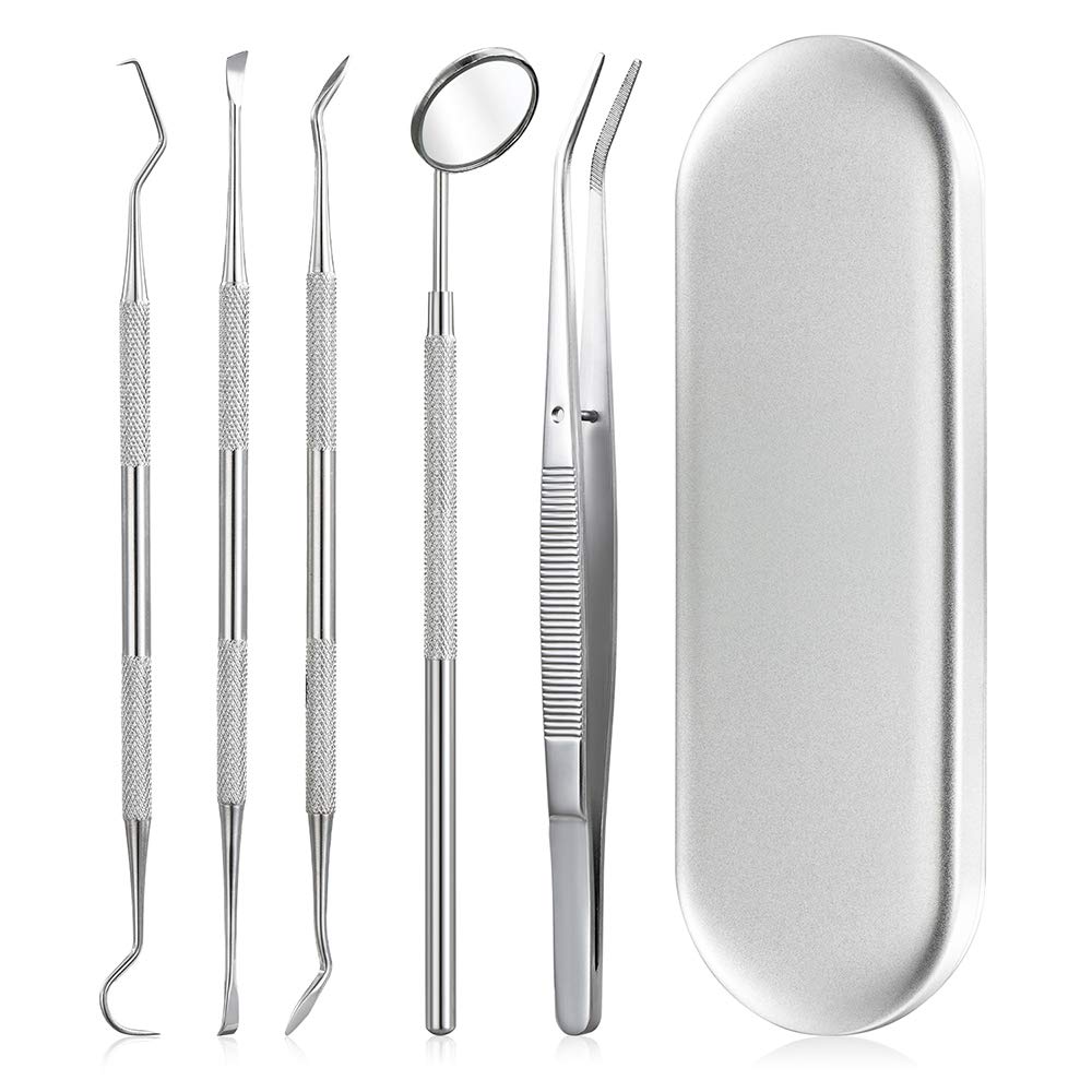HANNEA® 5Pcs Teeth Cleaning Tools Dental Kit with Storage Box Stainless Steel Teeth Hygiene Set with Dental Mirror Dental Tartar Scraper Dental Probe for Plaque Tartar Removal for Personal & Pets Use