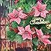 WILLBOND 24 Pieces 6 Inch Christmas Glitter Poinsettia Flowers Decorative Faux Flowers for Christmas Tree Ornaments (Pink)