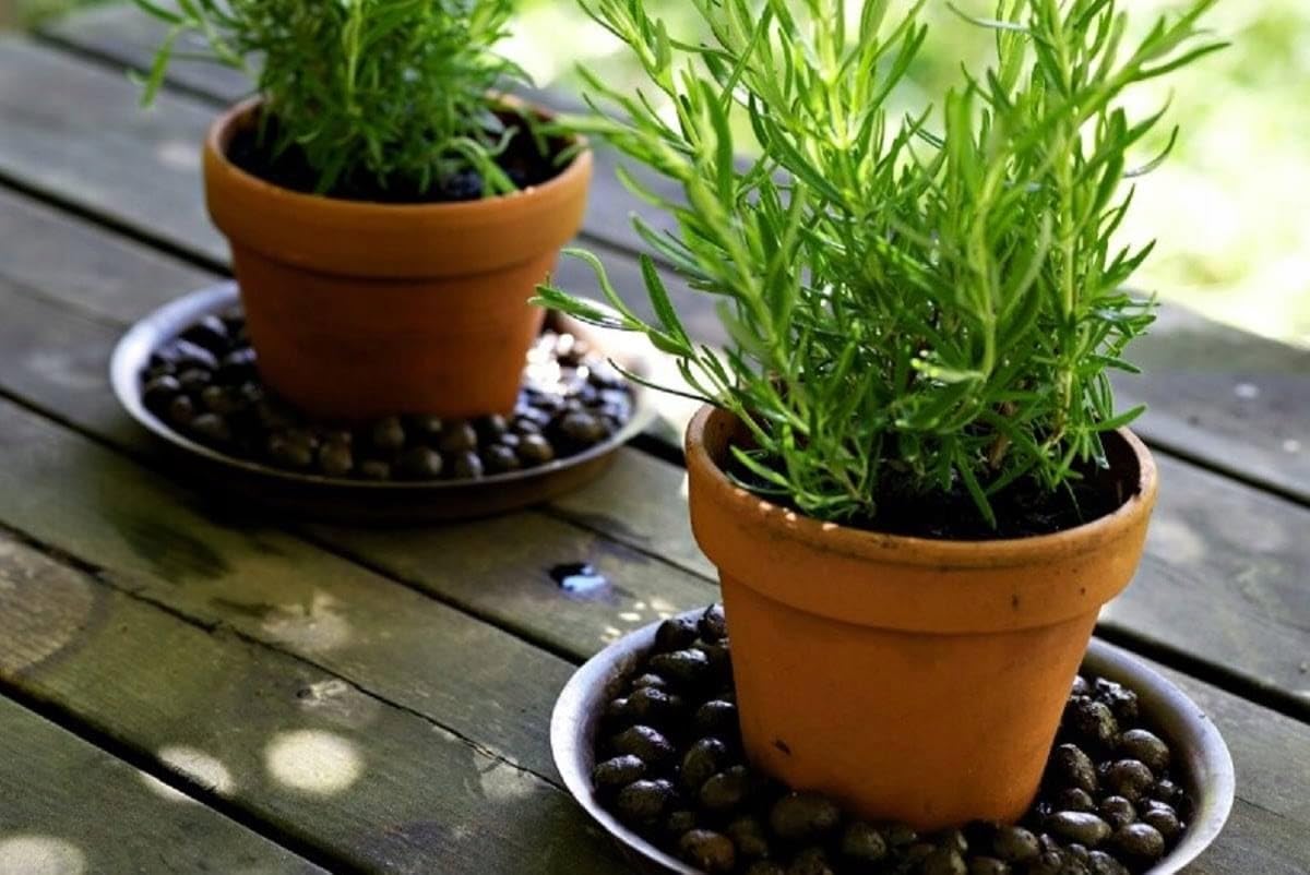 ABDULLAEVS BRAND 1 Litre (environ 400 G) De Granulés D'argile Pour La Culture Hydroponique Et Le Drainage – Argile Expansée 100 % Naturelle Sans Produits Chimiques – Grain De 8 à 16 Mm – Idéal Pour