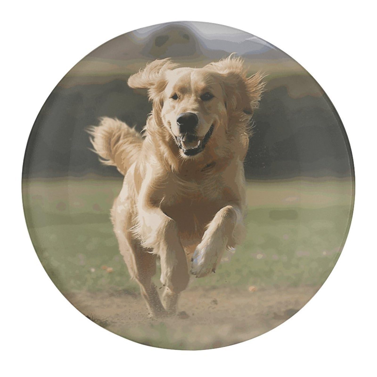 Fekiloot Style Golden Retriever Running Refrigerator Magnet Fridge Magnet2 Pcs
