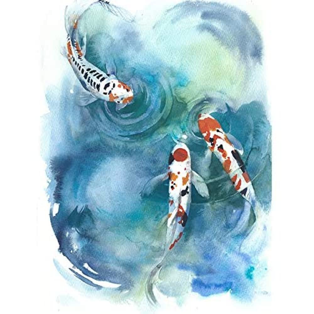 Wee Blue Coo Japanese Koi Fish Near Surface Unframed Art Print Poster Wall Decor 12x16 inch
