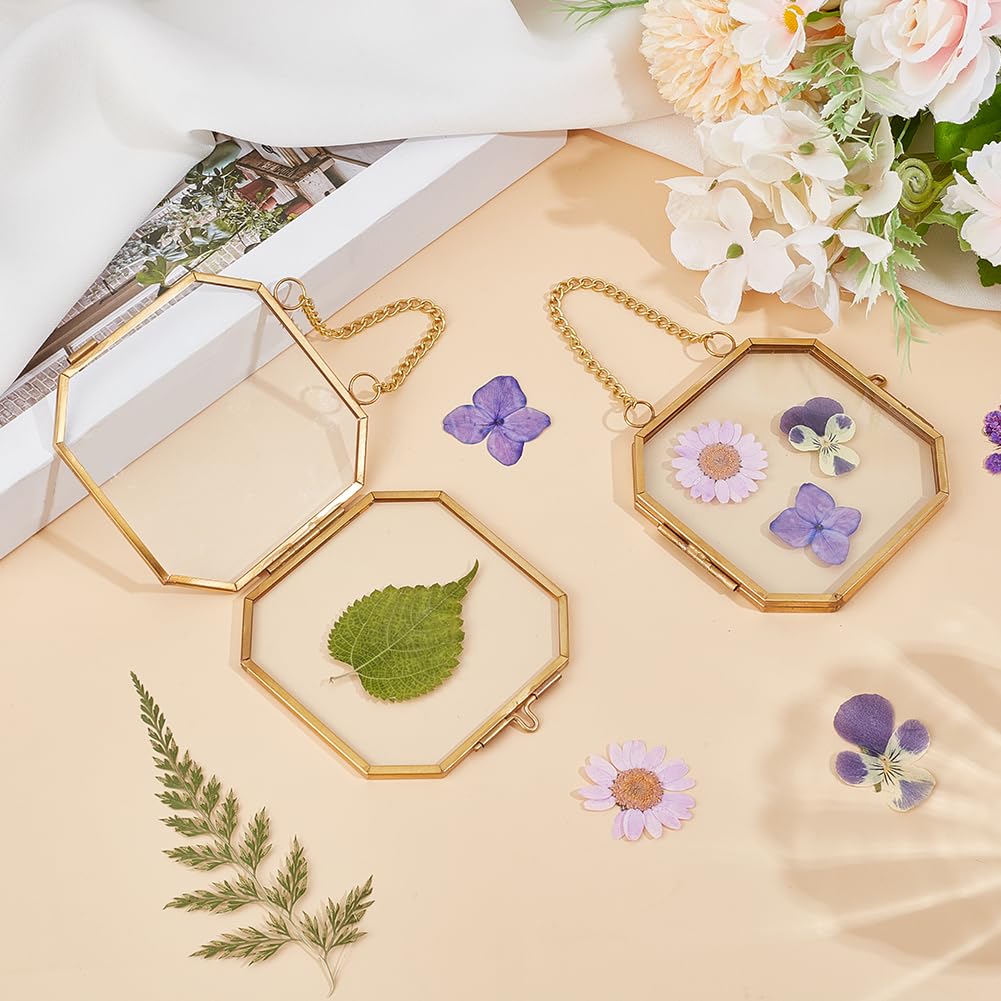 Mini Cornici Da Parete In Vetro OLYCRAFT - 2 Pezzi, 6x6 Cm, Doppio Vetro, Catena, Per Fiori Pressati/foto