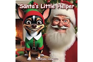 Santa's Little Helper