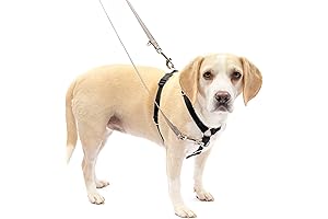 PetSafe Sure-Fit Harness: Adjustable Fit for Maximum Comfort