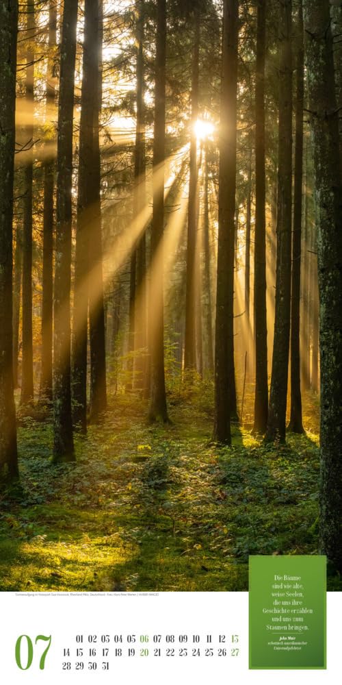 Mythos Wald Kalender 2025, Wandkalender im Hochformat (33x66 cm) - Naturkalender / Literaturkalender mit Zitaten