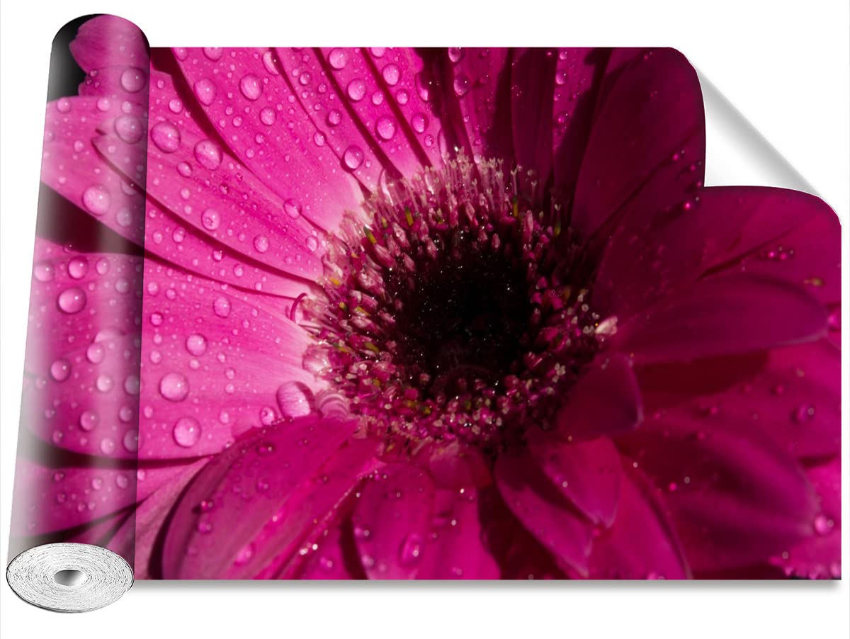 Décoration Murale Pour la Maison Papier Peint Tulup Gerbera Violet Moderne