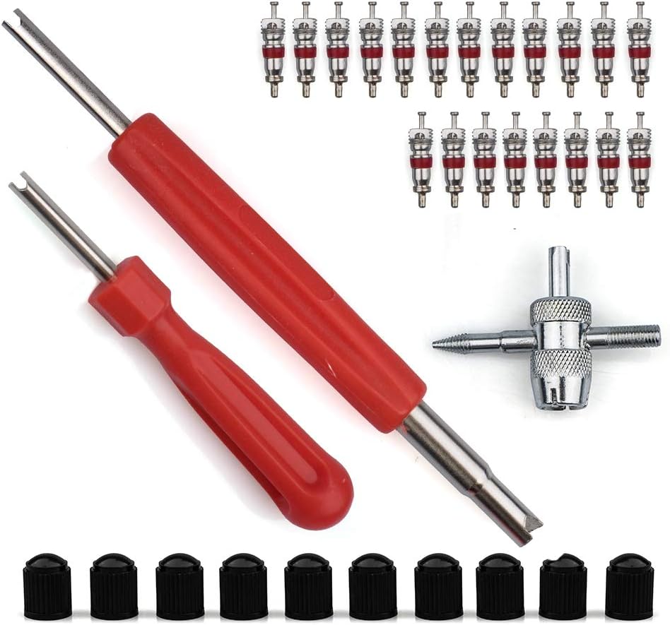 Novelfun Tire Valve Core Tool Set with Dual & Single Head Valve Core Remover Tire Repair Tool，1 Pcs 4-Way Valve Tool，10Pcs Tire Valve Caps，20Pcs Valve Cores