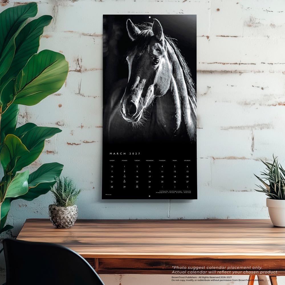 The BrownTrout Portrait Series: El Caballo Noble | Calendario mensual cuadrado de pared 2027 de 12 x 24 pulgadas (colgando) | Sin plástico | Mascotas ecuestres
