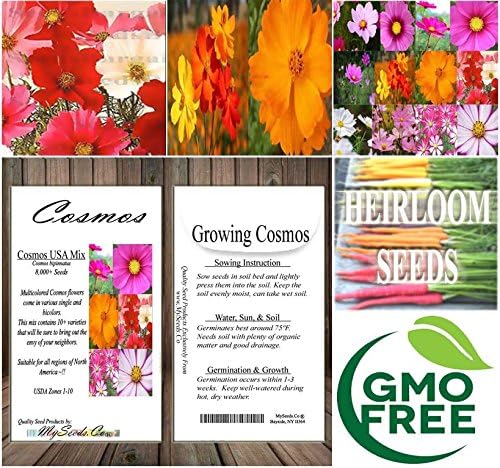 Miniatura 7 de Big Pack - Cosmos USA Mix (8,000+) Semillas de flores por MySeeds.Co (paquete grande - Cosmos Mix)