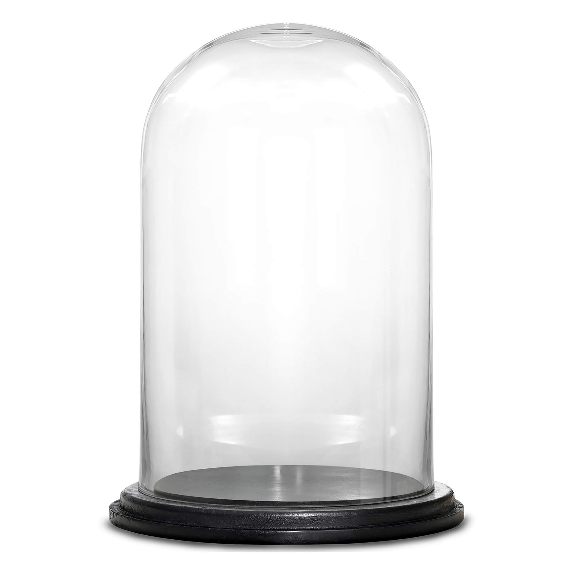 CYS EXCEL Glass Dome Cloche (H:9.25