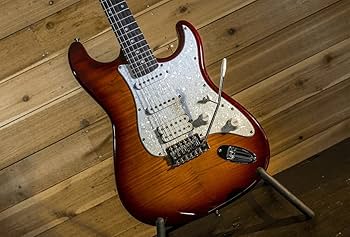 Amazon | ウォッシュバーン ソナマスター 6弦 ソリッドボディ