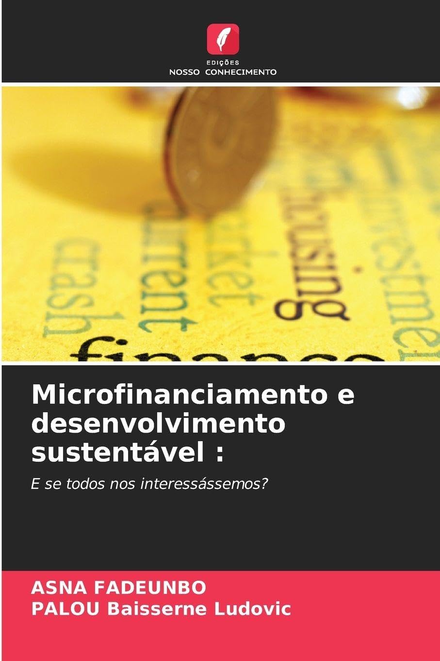 Microfinanciamento e desenvolvimento sustentável: E se todos nos interessássemos?