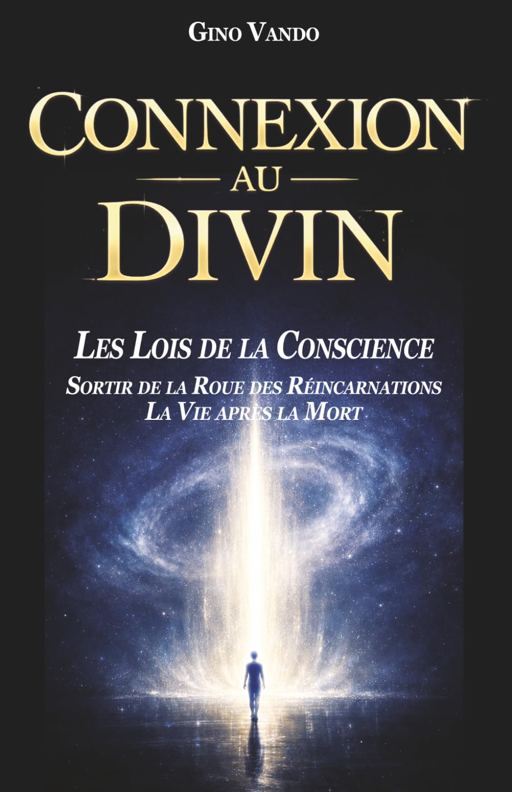 CONNEXION AU DIVIN: LES LOIS DE LA CONSCIENCE - SORTIR DE LA ROUE DES RÉINCARNATIONS - LA VIE APRÈS LA MORT: 1