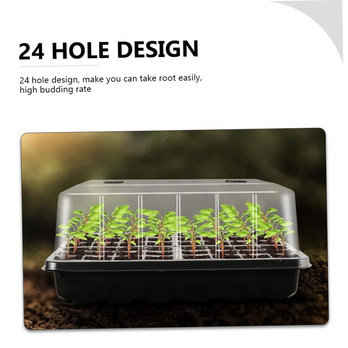 BESPORTBLE Plateau de Germination 1 Set PP Respirant pour Semis