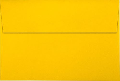 Miniatura 8 de LUXPaper Sobres de invitación A8  Despegar y prensar  5 12 pulgadas x 8 18 pulgadas  Bolsa de comestibles marrón  Texto de 70 libras  50 unidades.