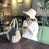 Uso multifuncional: se puede usar como bolso de hombro, bolso de playa, bolso de mensajero, bolso de mano, billetera, bolso de compras, etc. Fácil de usar, adecuado para llevar.