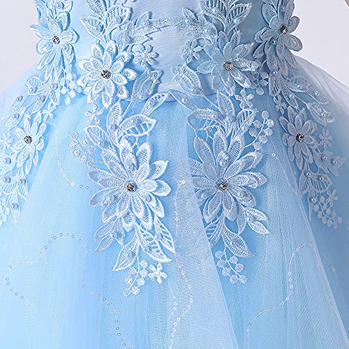 Little Big Girl Vintage Embroidery Beads Dress Flower Girls Rhinestone Tulle Maxi Gown Birthday Communion Long Dresses Pageant Formal Wedding Party Floor Length Evening Gown Light Blue 7-8 Years #TOP2