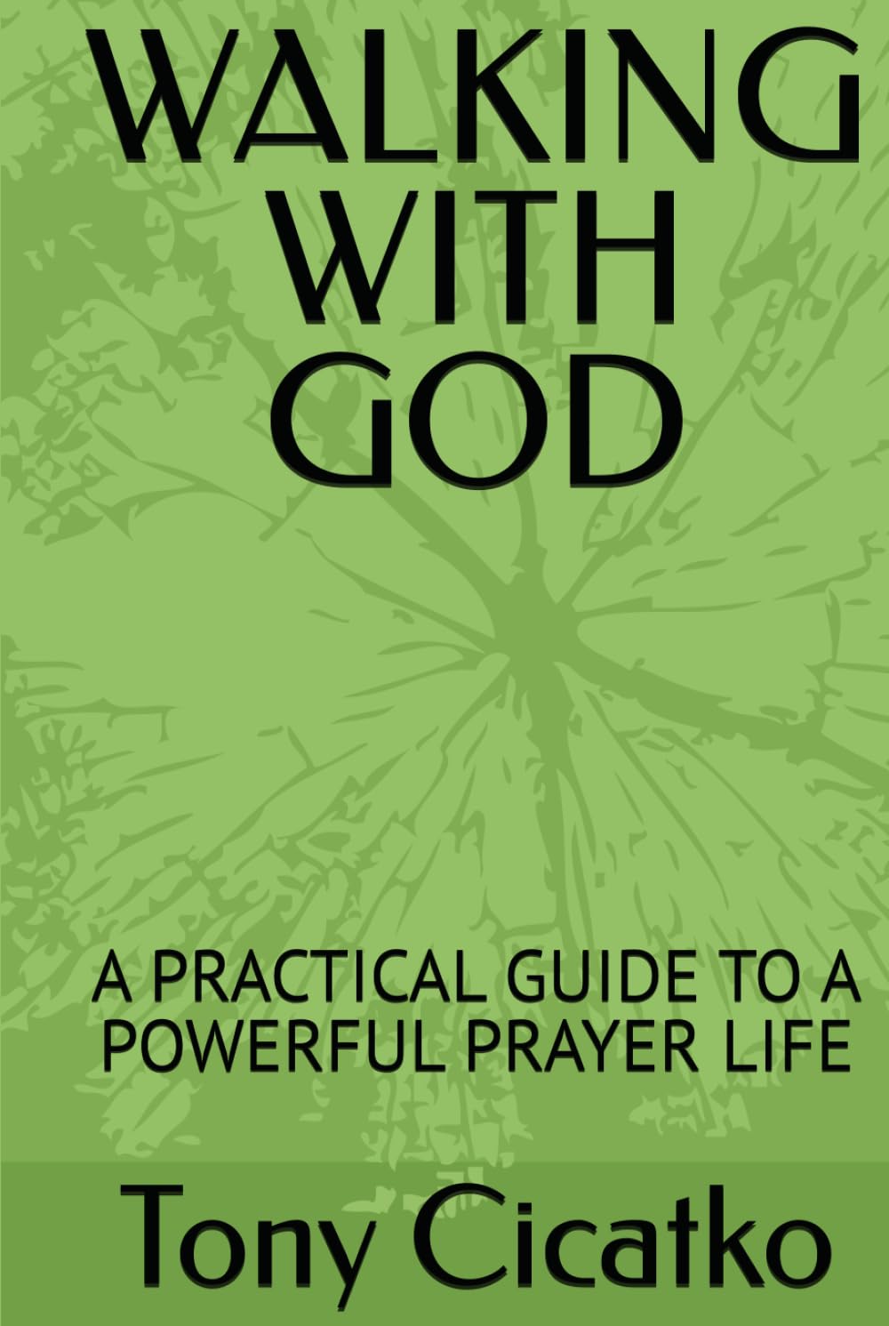 WALKING WITH GOD: A PRACTICAL GUIDE TO A POWERFUL PRAYER LIFE (DEEP DIVE INTO THE BIBLE)