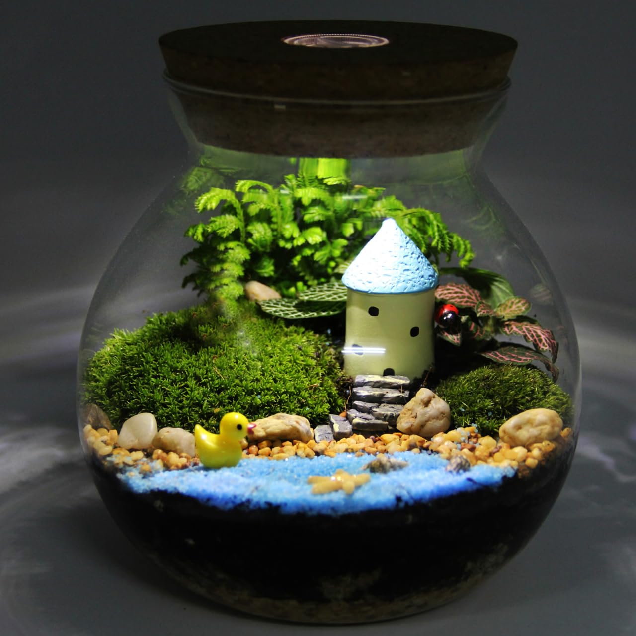 Minkissy Flaschengarten Glas mit LED Pflanzglas mit Deckel aus Borosilikatglas Deko Glas Terrarium Mini Aquarium Vivarium für Pflanzen DIY