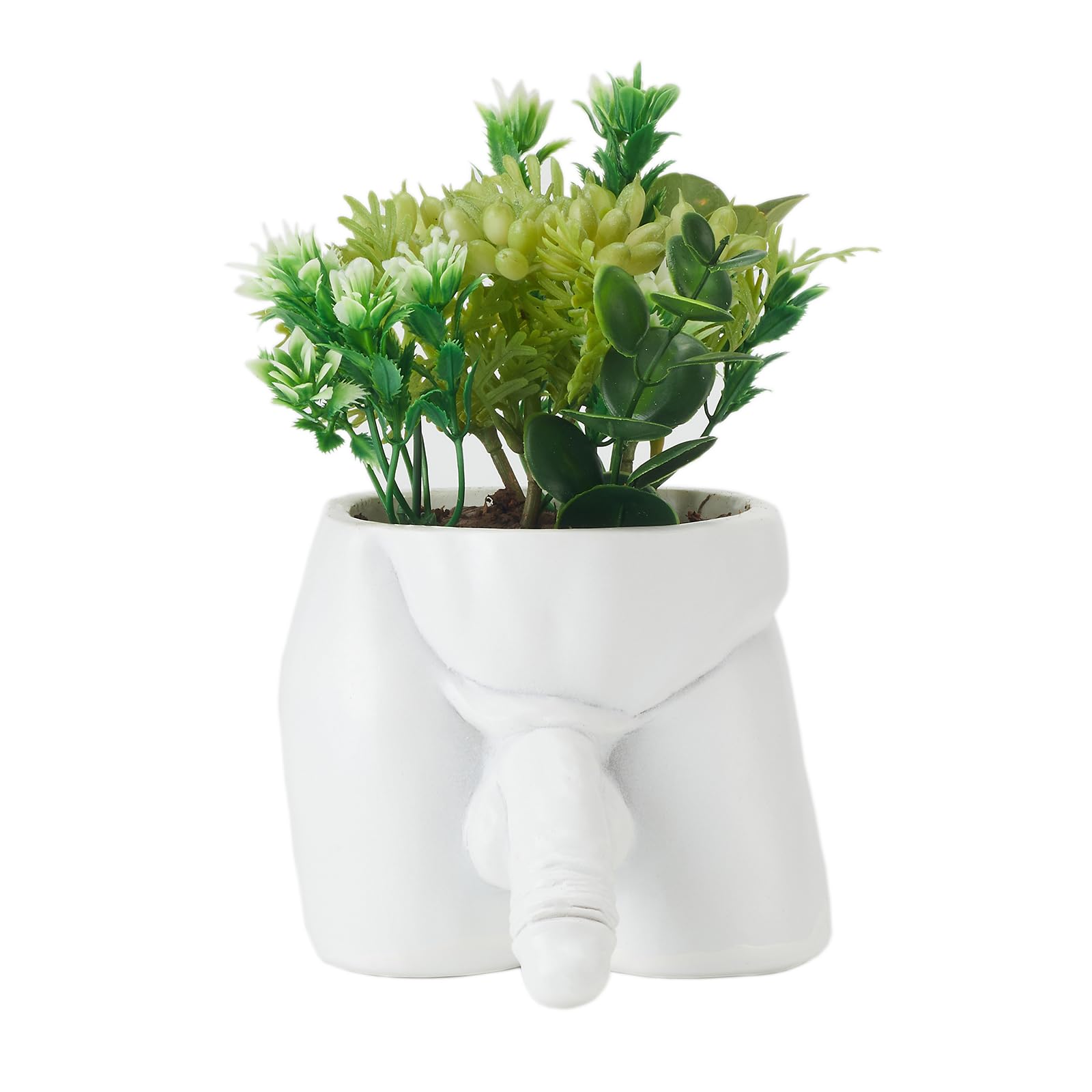 Body Vases for Decor Penis Planter Cool Decor Pot, Male Plant Pots — Body Vase Christmas Valentine's Day Gift Unique Planter (White, L)