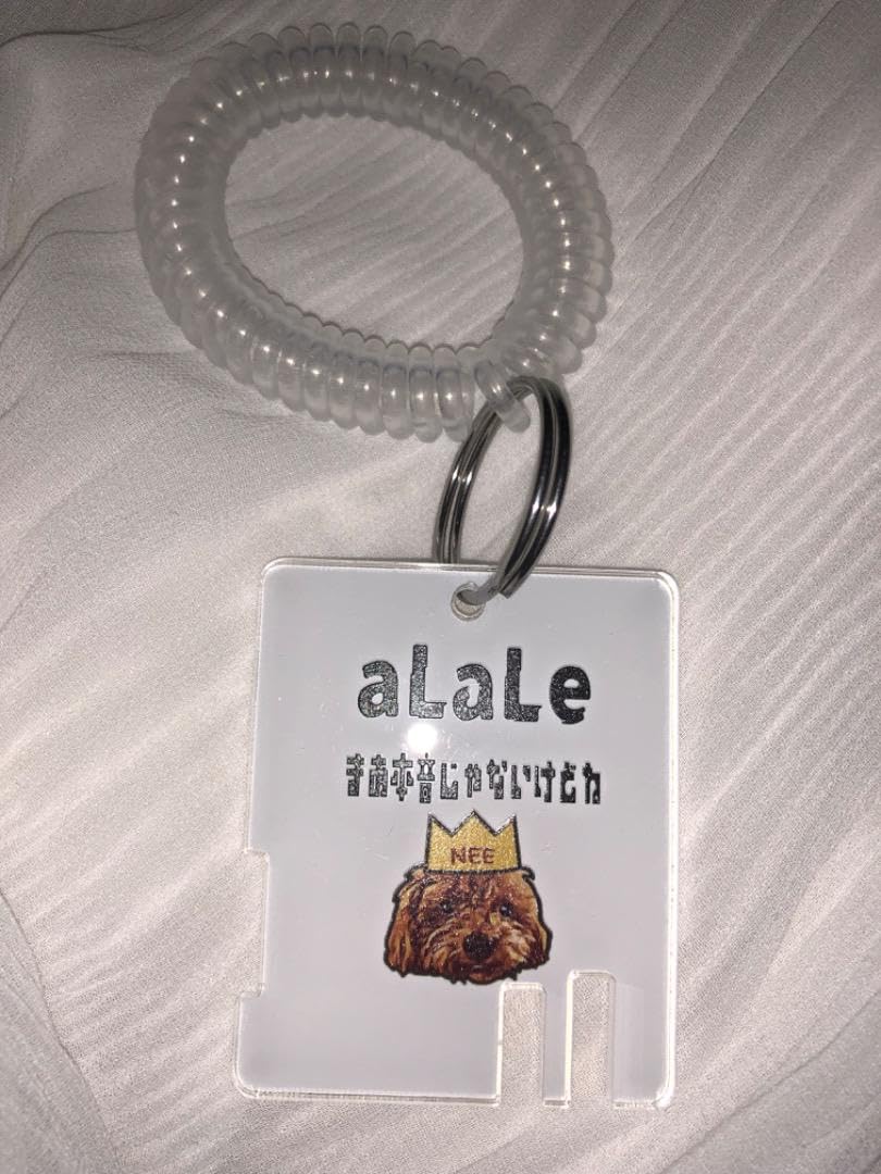 Amazon.co.jp: aLaLe ロッカーキー NEE : おもちゃ
