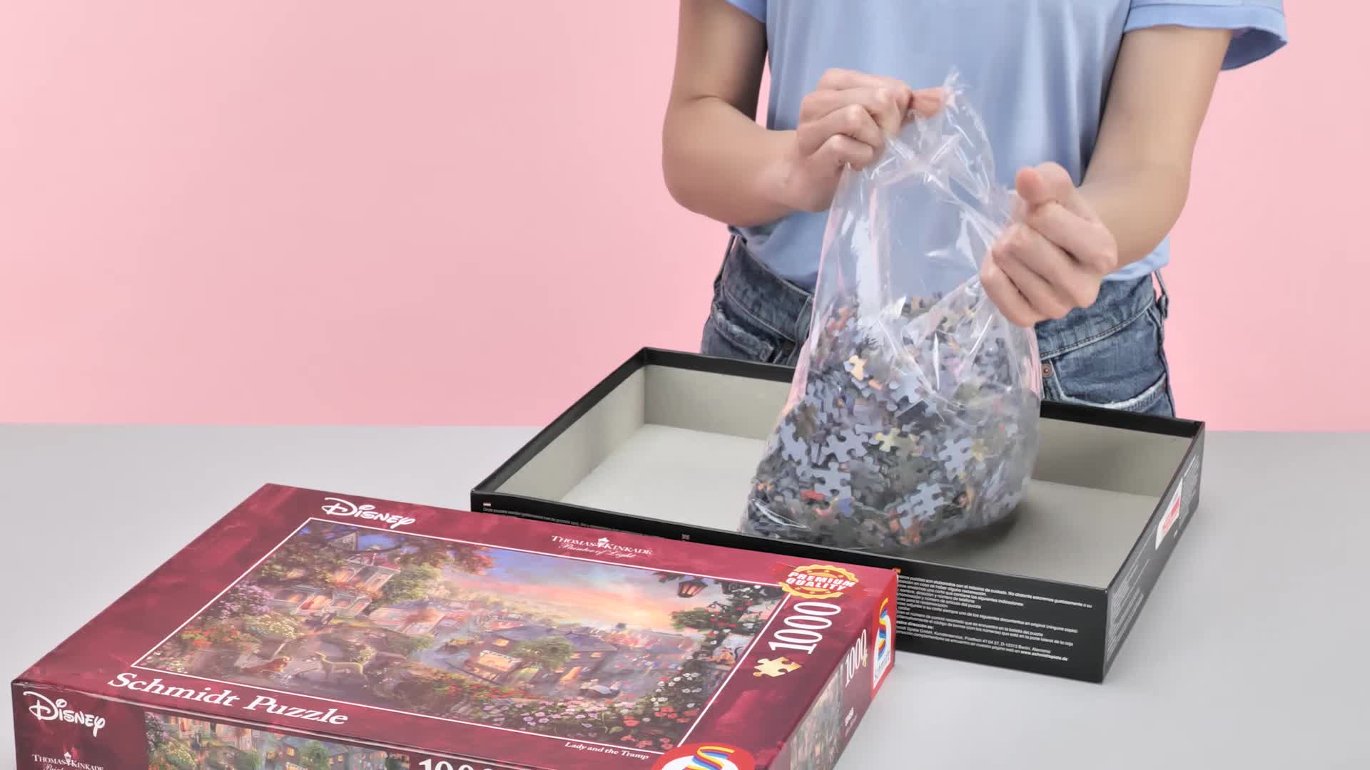 Amazon.com: Schmidt | Thomas Kinkade: Disney Lady & The Tramp