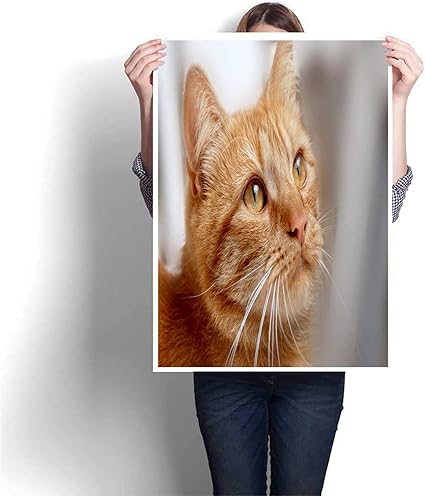 Amazon Co Jp 壁掛けアート 猫猫の赤猫の子猫 壁紙用 おしゃれ アートポスタ 40 X 60 Cm Diy 工具 ガーデン