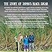 Haitai's 'Longevity Island' Rock Sugar ~ Blue Zone Food, Japan's 'Black Sugar', Deep, Dark, Powerful Taste ~ 1.1LB, 500g, Rock Type