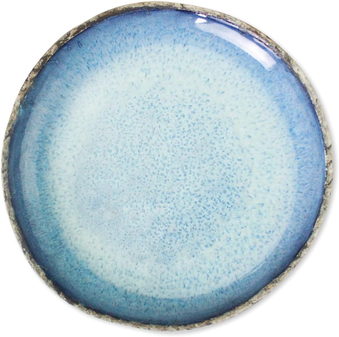 RoRo Rustic Coral Handmade Ceramic Stoneware Dinner Plates and Bowls, Reactive Blue Set of 2, Textured Finish (Coral, Dinner Plate) - Image 3